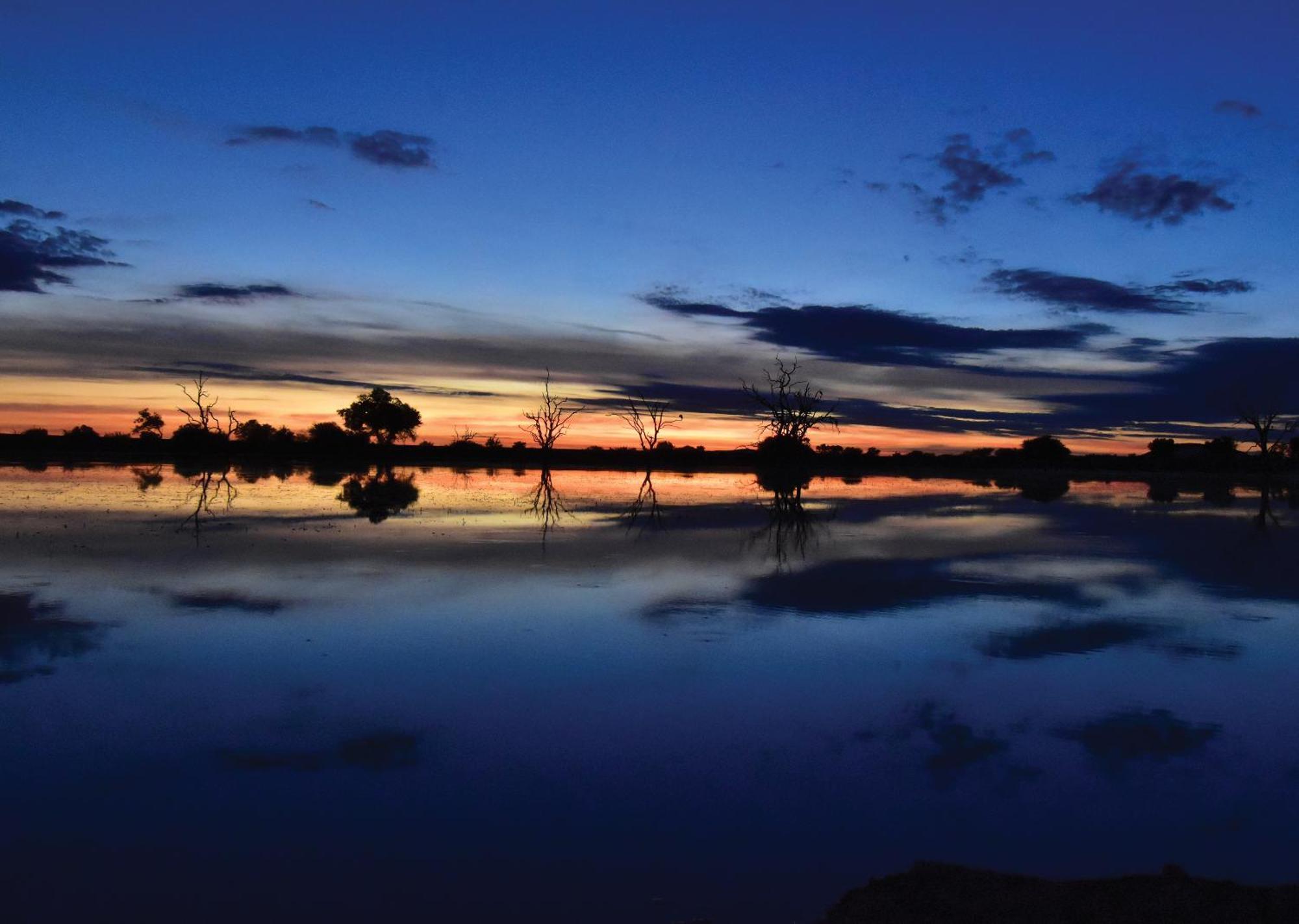 Madikwe River Lodge By Dream Resorts Madikwe Game Reserve Exteriér fotografie