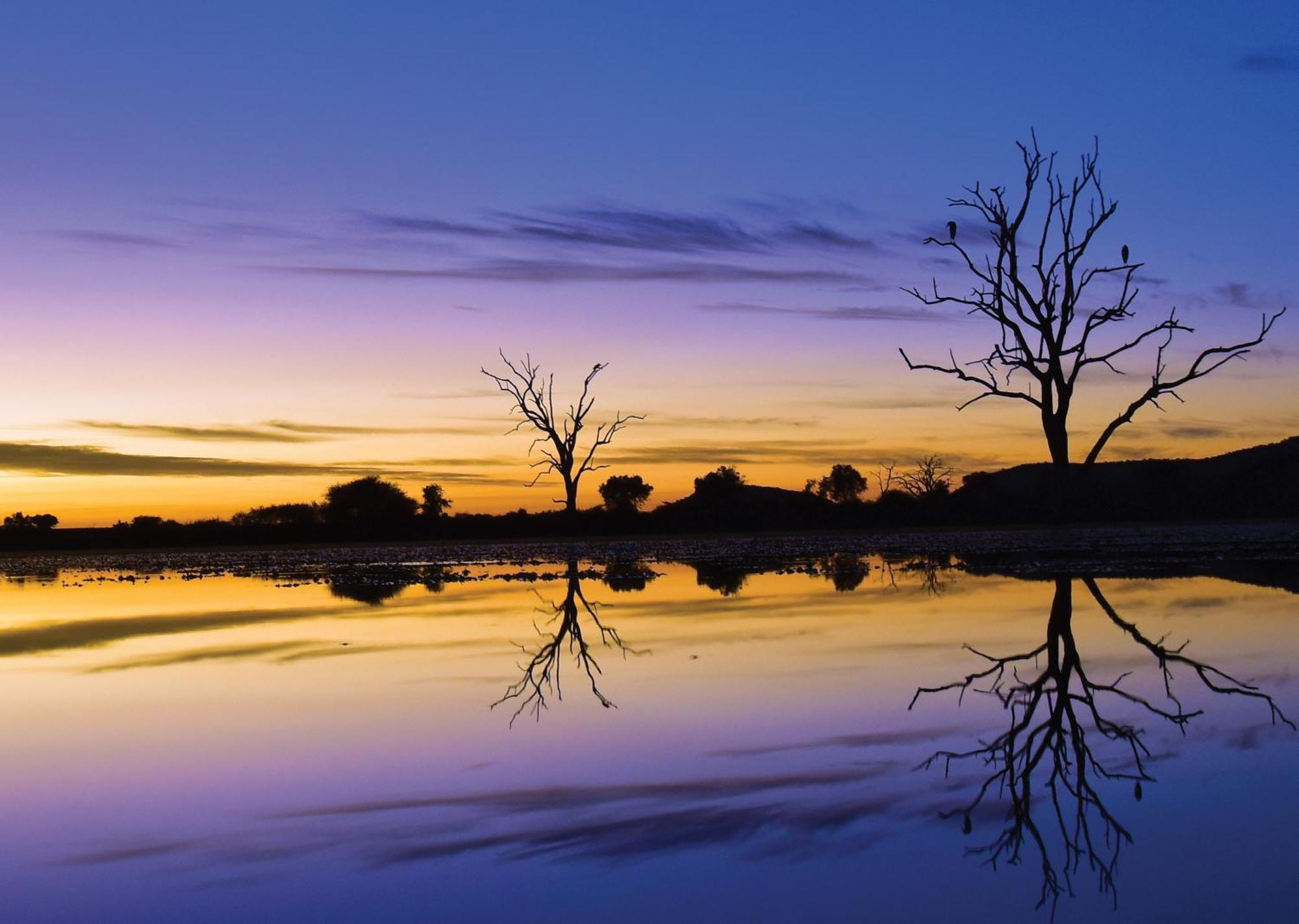Madikwe River Lodge By Dream Resorts Madikwe Game Reserve Exteriér fotografie