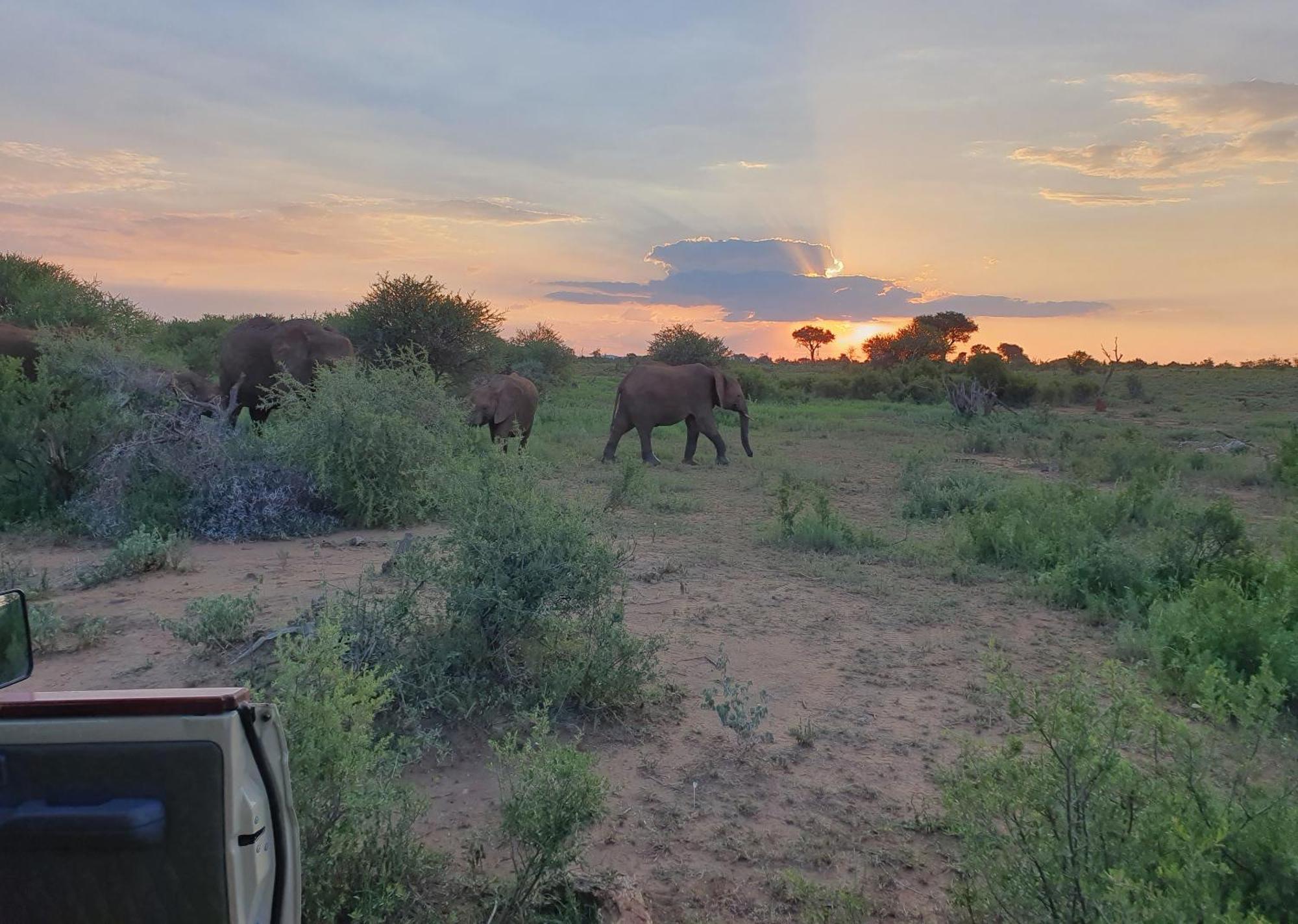 Madikwe River Lodge By Dream Resorts Madikwe Game Reserve Exteriér fotografie