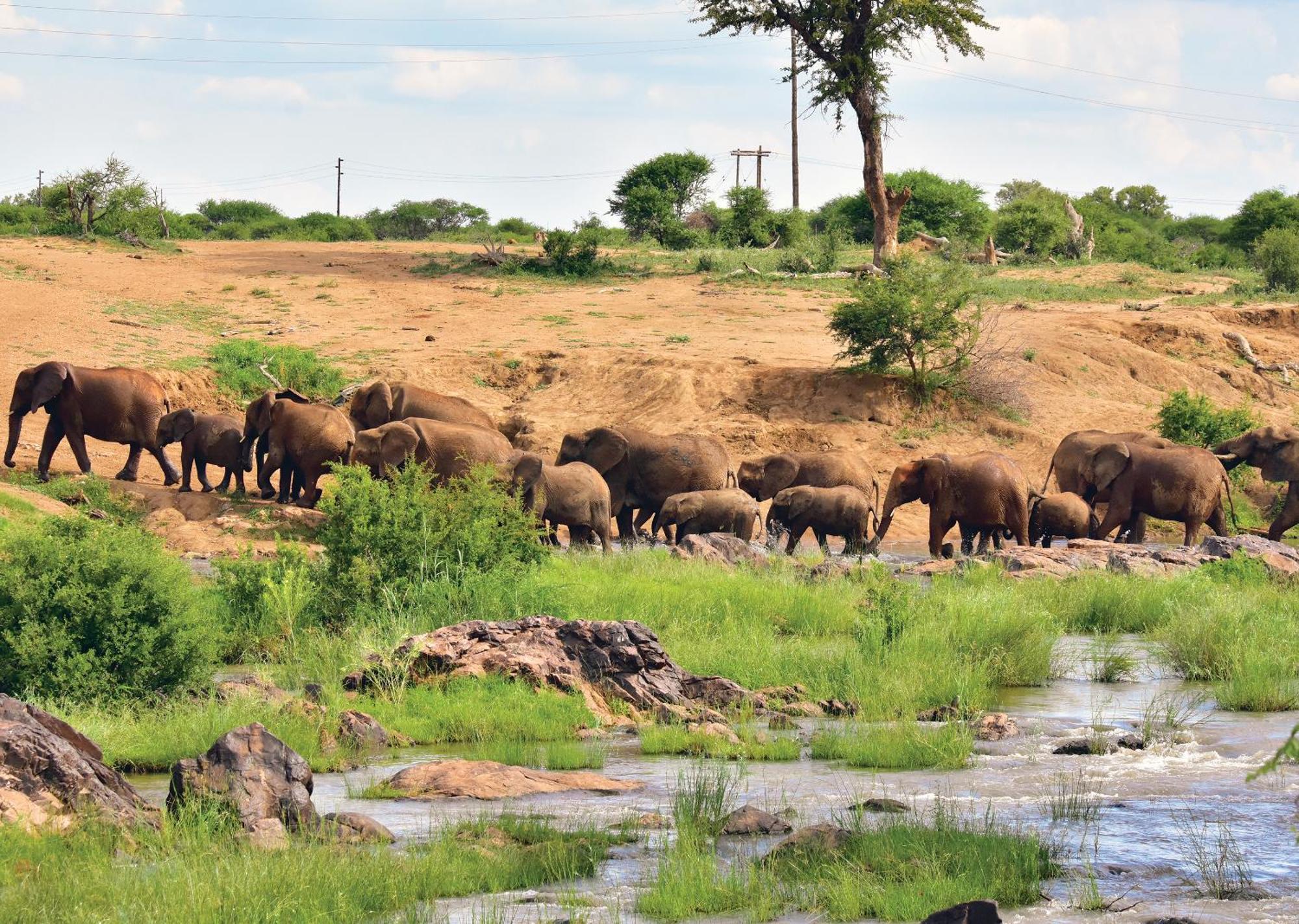 Madikwe River Lodge By Dream Resorts Madikwe Game Reserve Exteriér fotografie
