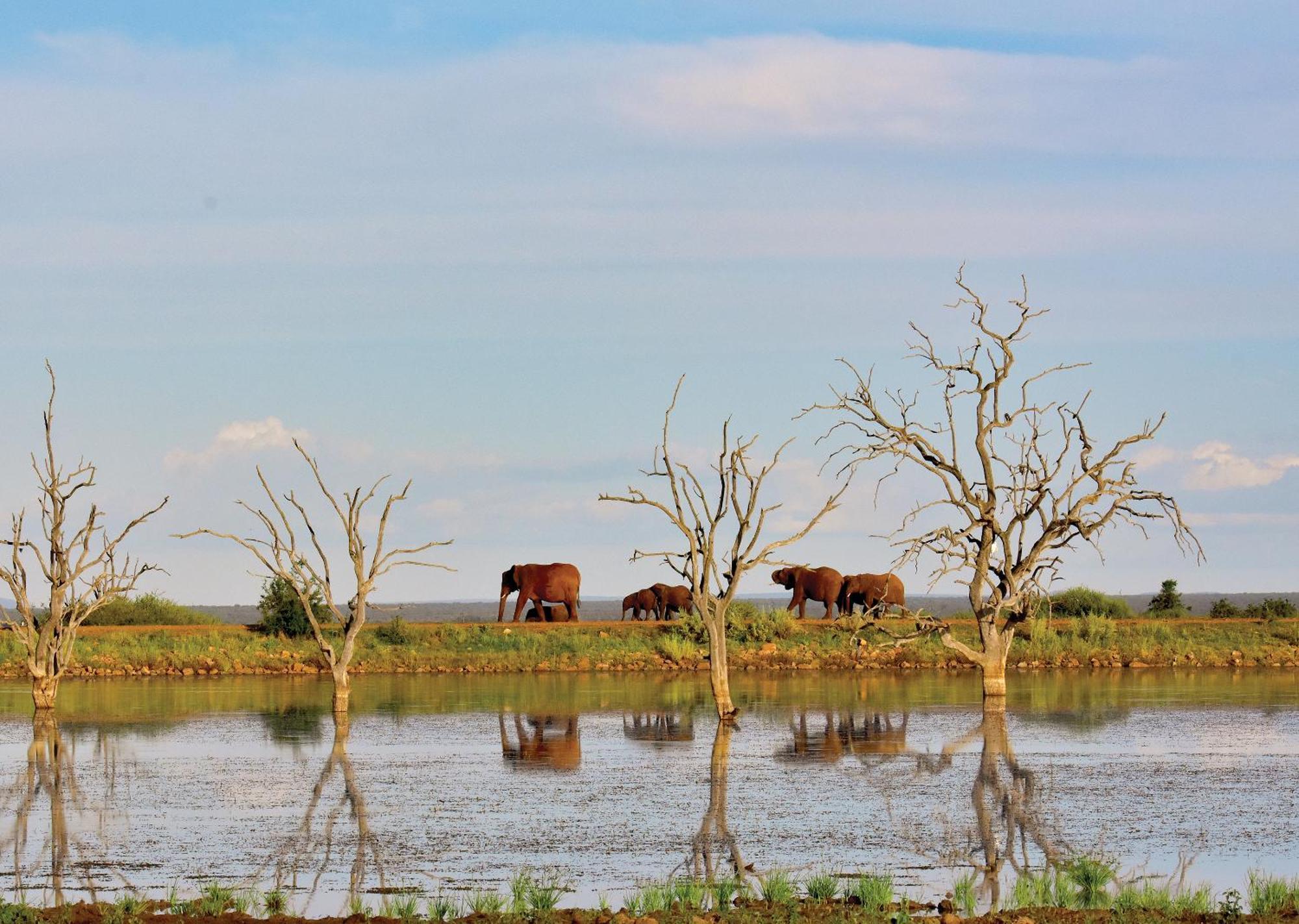 Madikwe River Lodge By Dream Resorts Madikwe Game Reserve Exteriér fotografie
