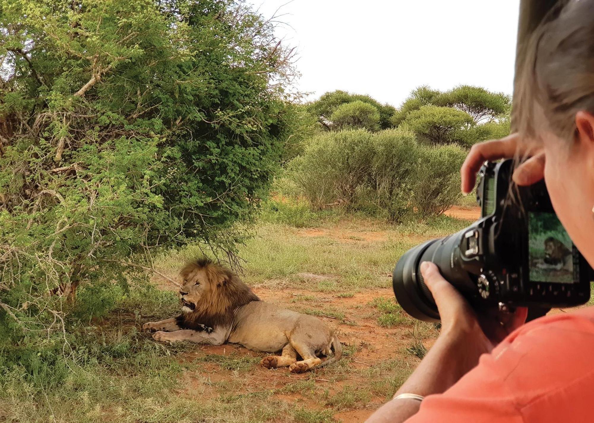 Madikwe River Lodge By Dream Resorts Madikwe Game Reserve Exteriér fotografie