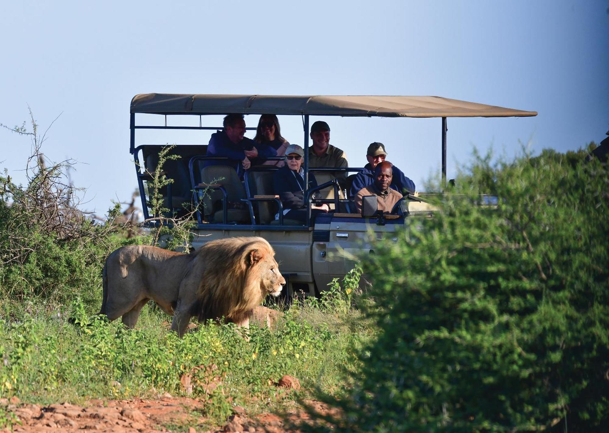 Madikwe River Lodge By Dream Resorts Madikwe Game Reserve Exteriér fotografie