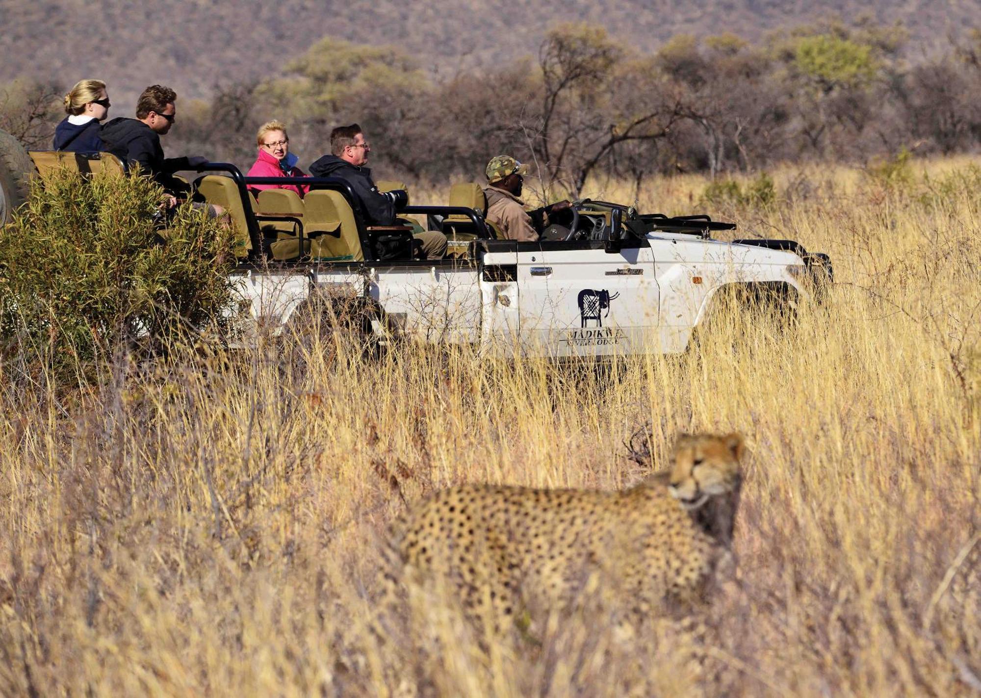 Madikwe River Lodge By Dream Resorts Madikwe Game Reserve Exteriér fotografie