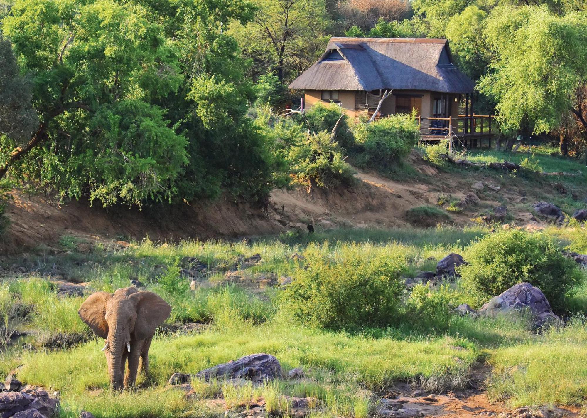 Madikwe River Lodge By Dream Resorts Madikwe Game Reserve Pokoj fotografie