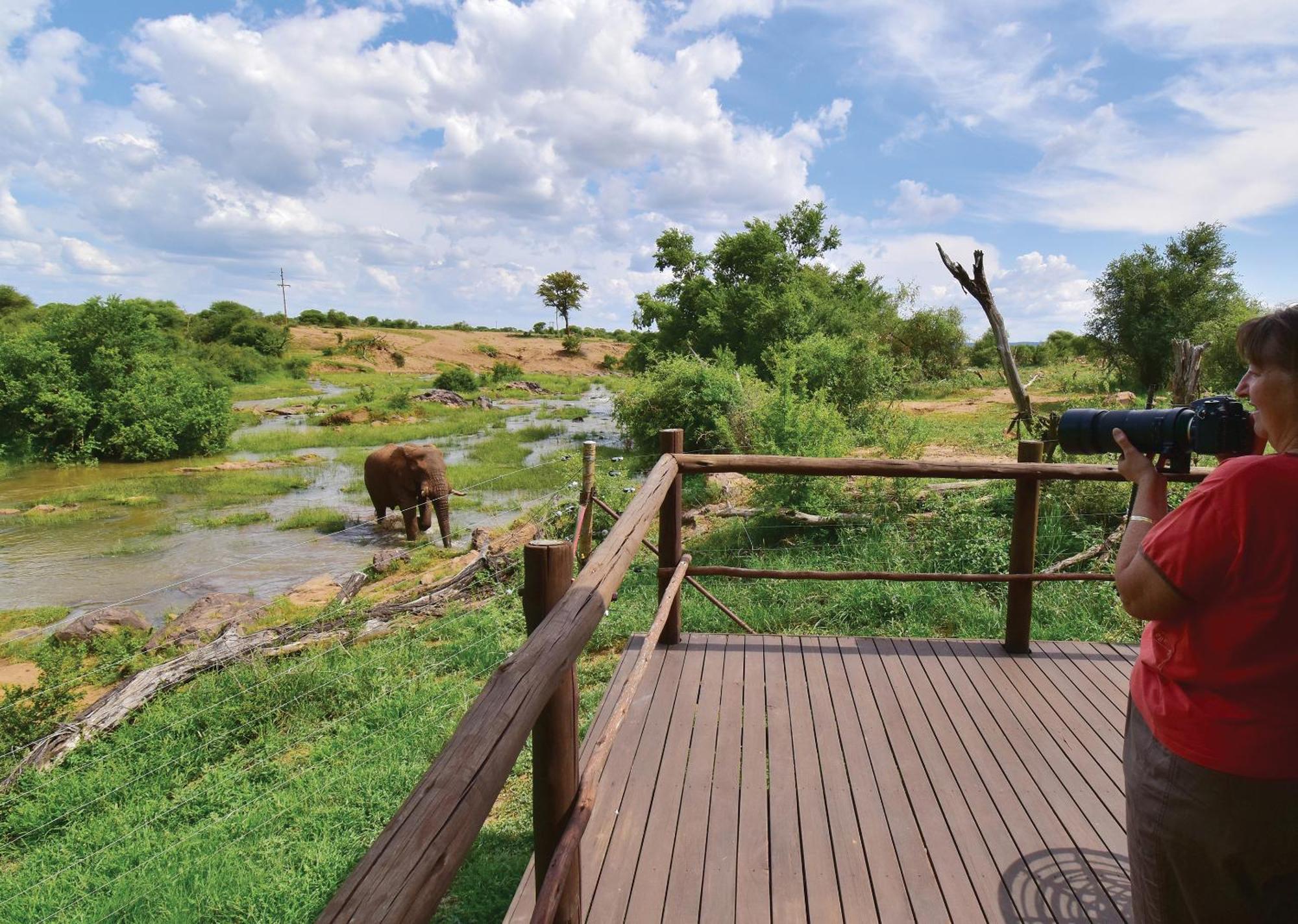 Madikwe River Lodge By Dream Resorts Madikwe Game Reserve Pokoj fotografie