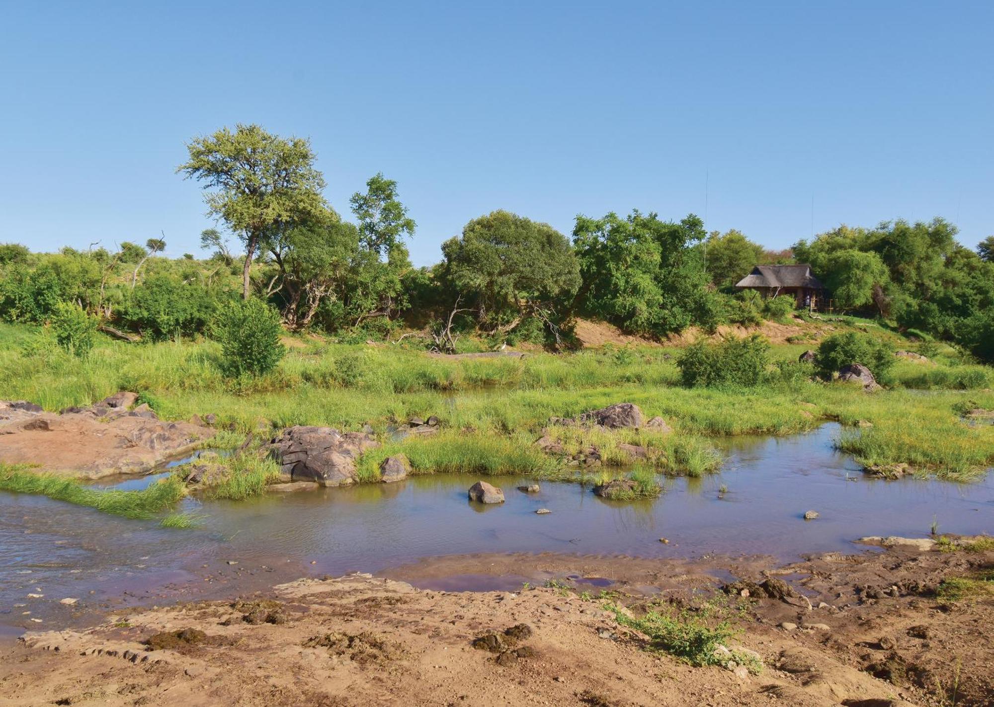 Madikwe River Lodge By Dream Resorts Madikwe Game Reserve Pokoj fotografie