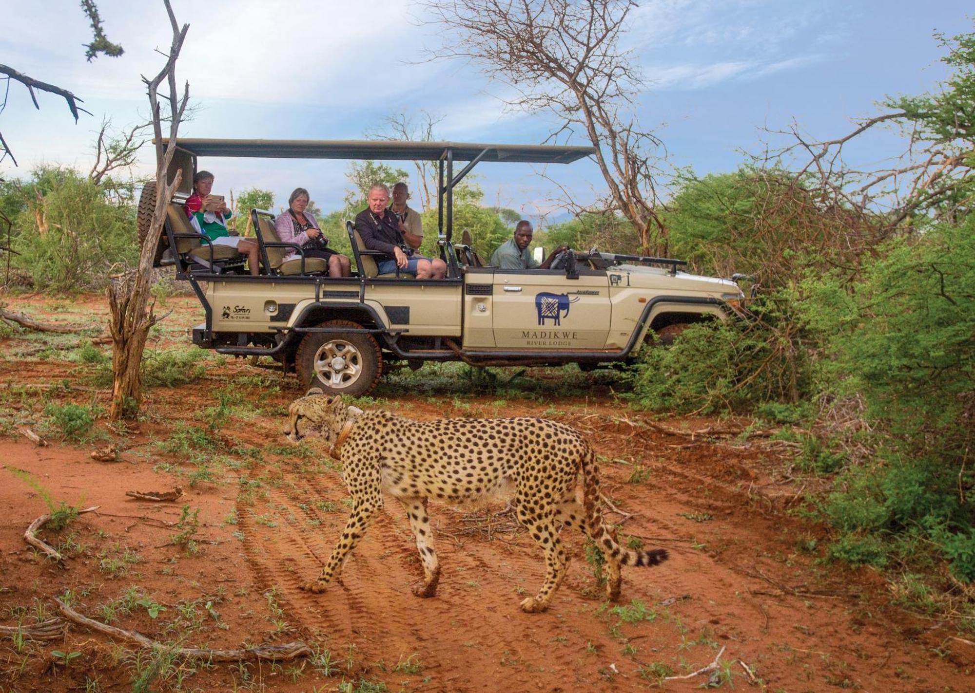 Madikwe River Lodge By Dream Resorts Madikwe Game Reserve Exteriér fotografie